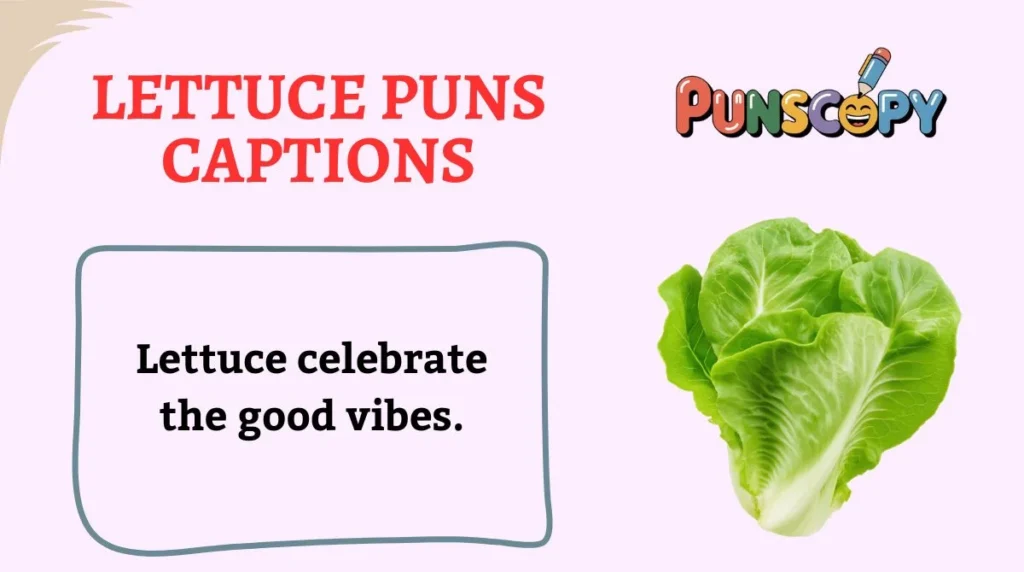 Lettuce Puns Captions