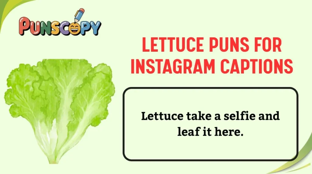 Lettuce Puns for Instagram Captions