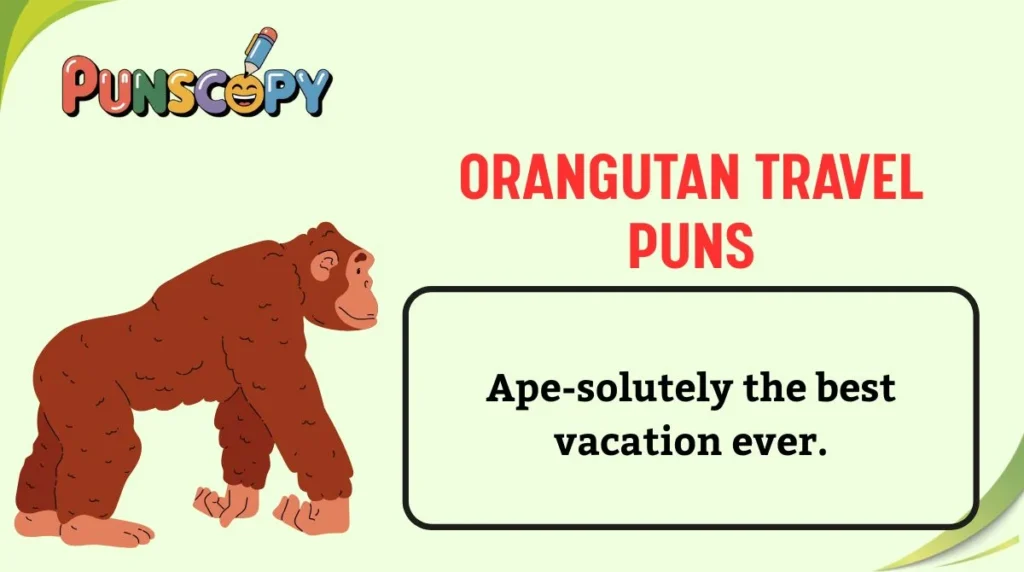Orangutan Travel Puns