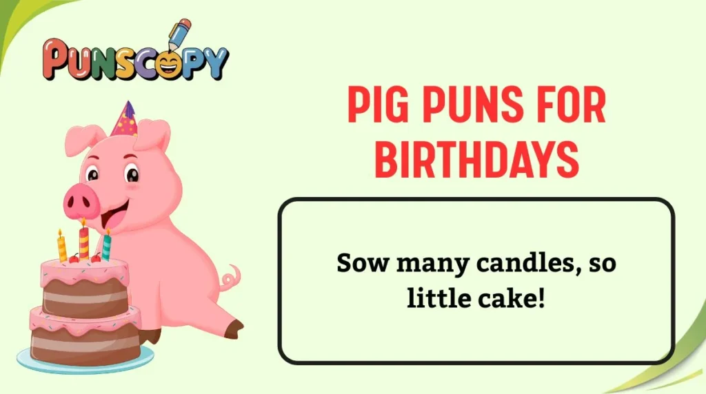 Pig Puns for Birthdays