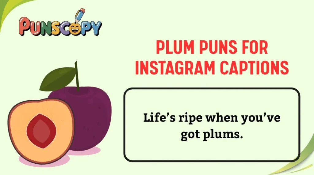 Plum Puns for Instagram Captions