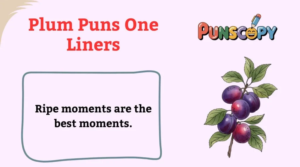 Plum Puns One Liners