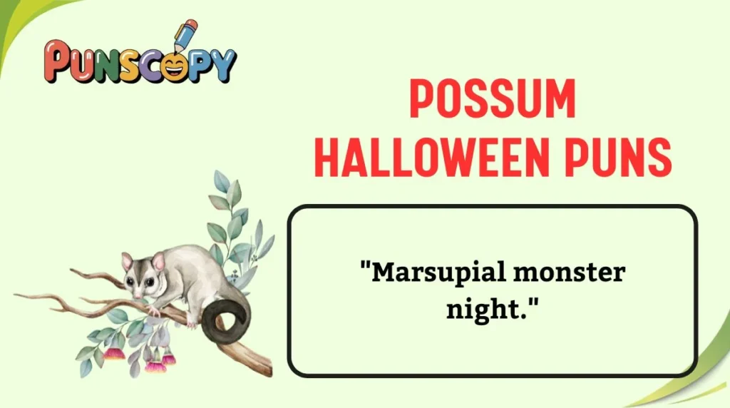 Possum Halloween Puns