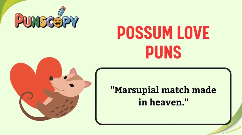 Possum Love Puns