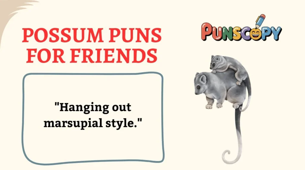 Possum Puns for Friends