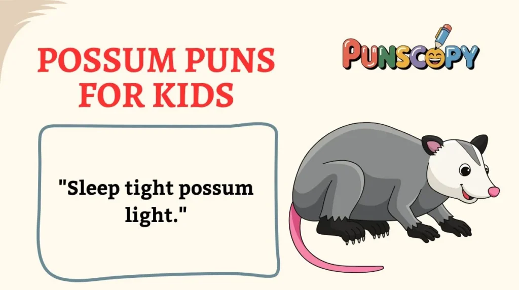 Possum Puns for Kids