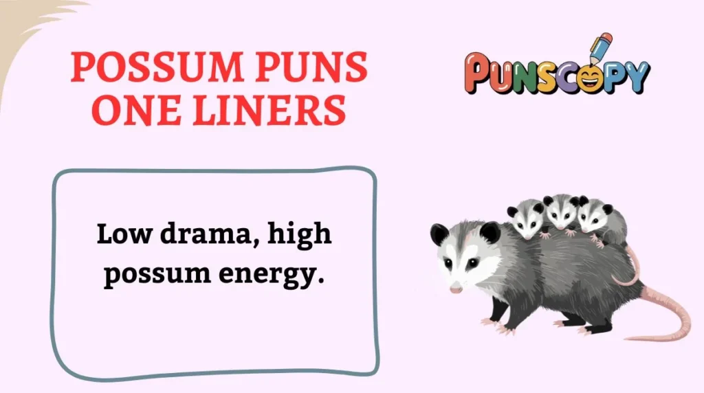 Possum Puns One Liners