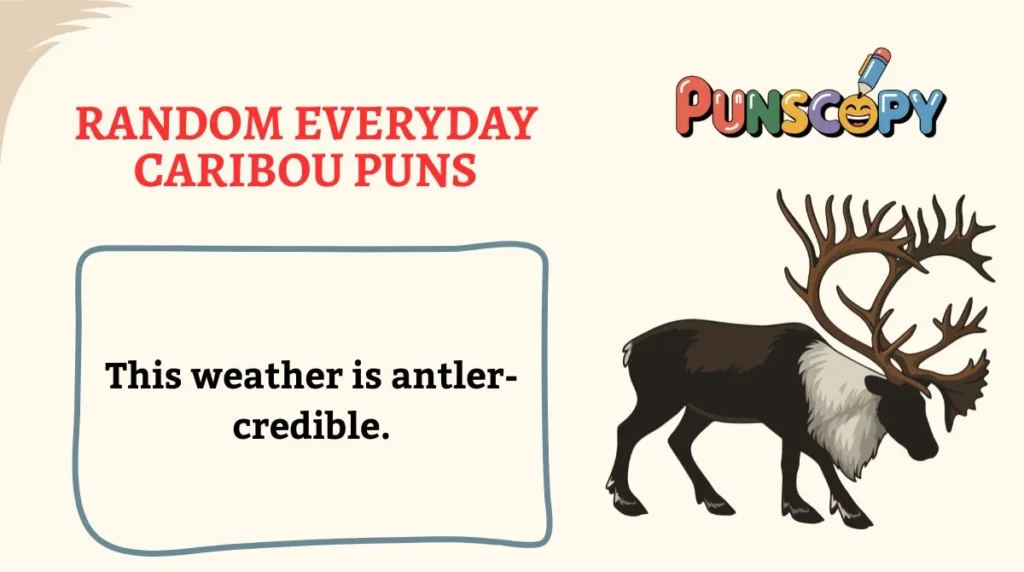 Random Everyday Caribou Puns