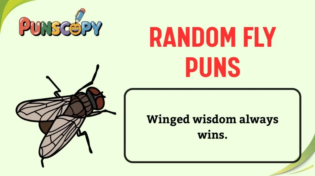 Random Fly Puns