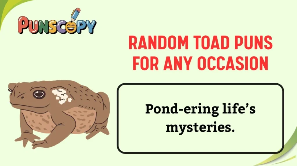 Random Toad Puns for Any Occasion