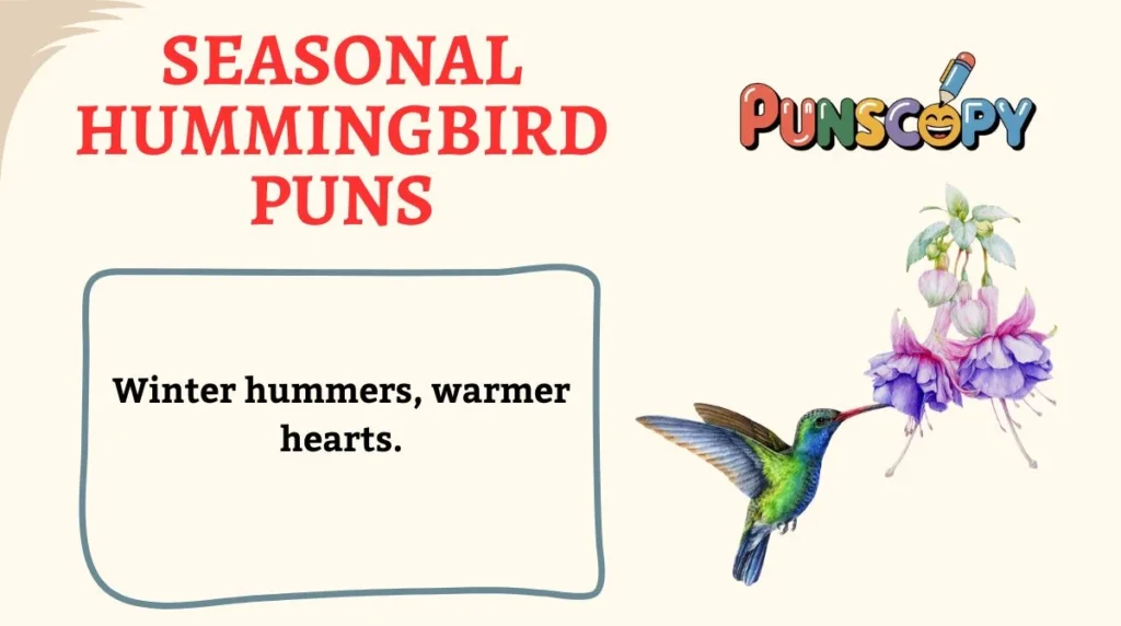Seasonal Hummingbird Puns