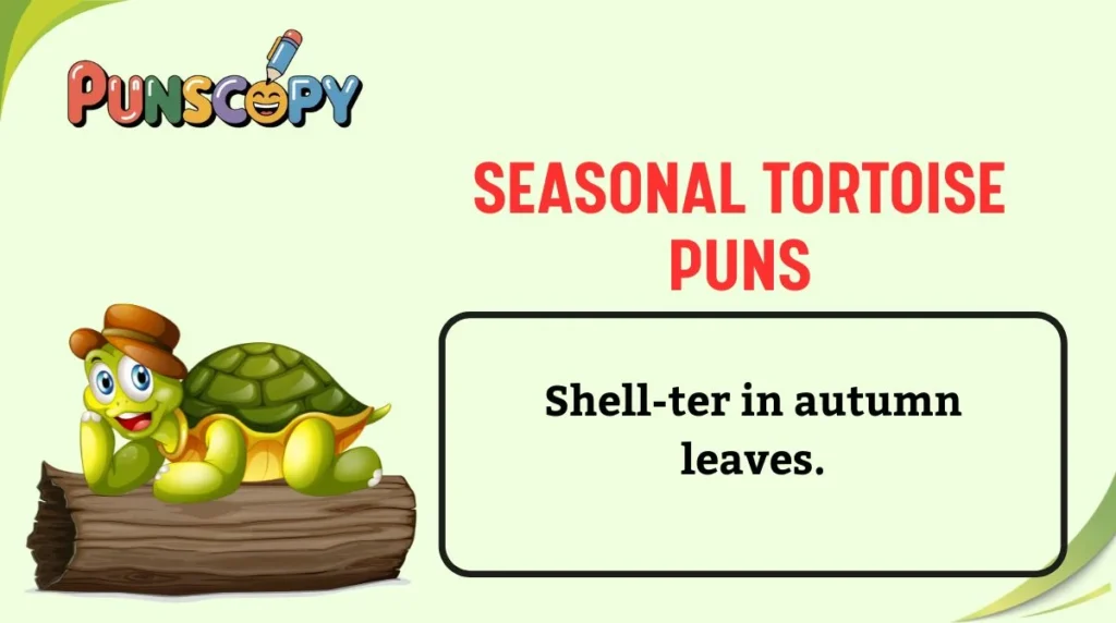 Seasonal Tortoise Puns