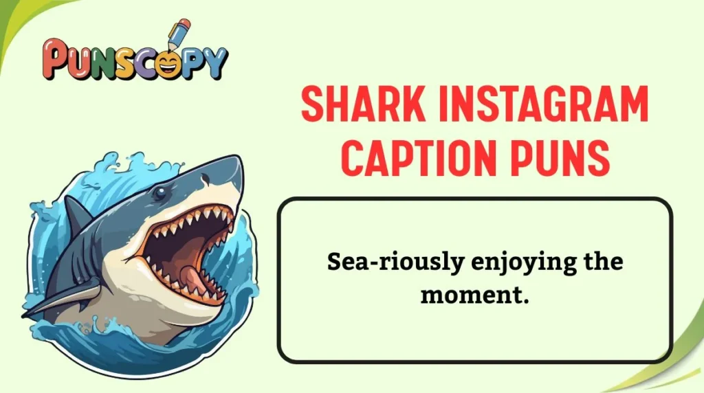 Shark Instagram Caption Puns