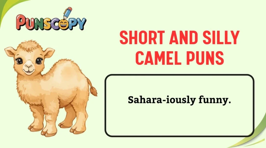Short and Silly Camel Puns