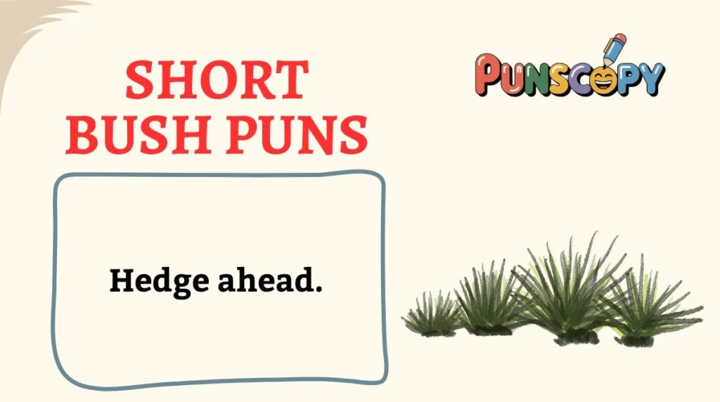 Short Bush Puns