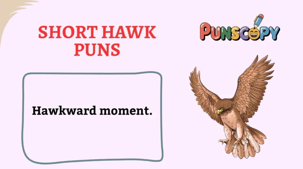 Short Hawk Puns