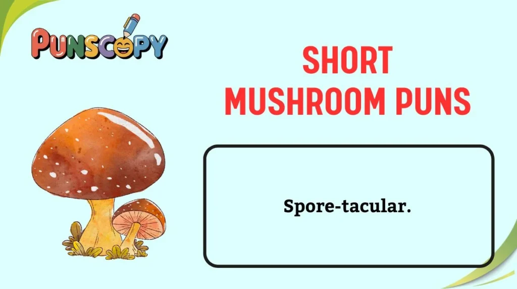 Short Mushroom Puns