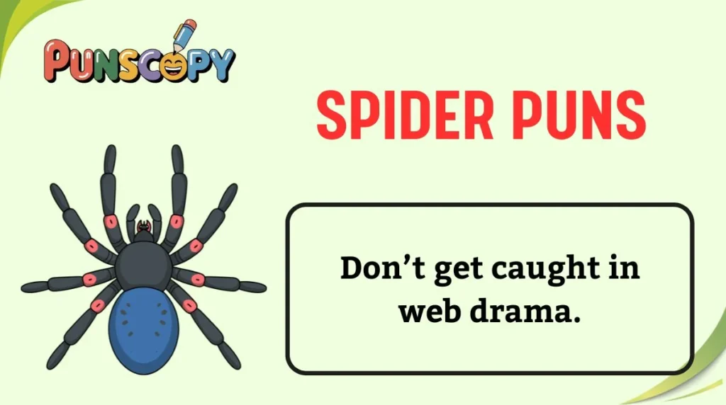 Spider Puns