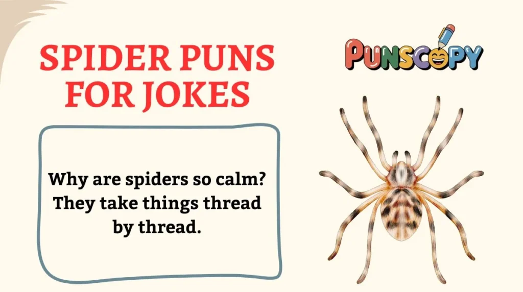 Spider Puns for Jokes