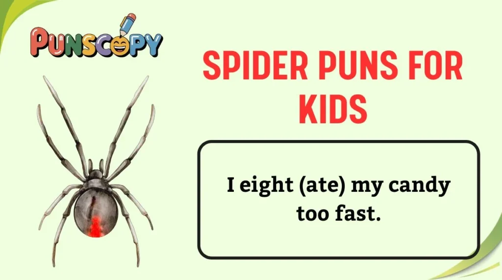 Spider Puns for Kids