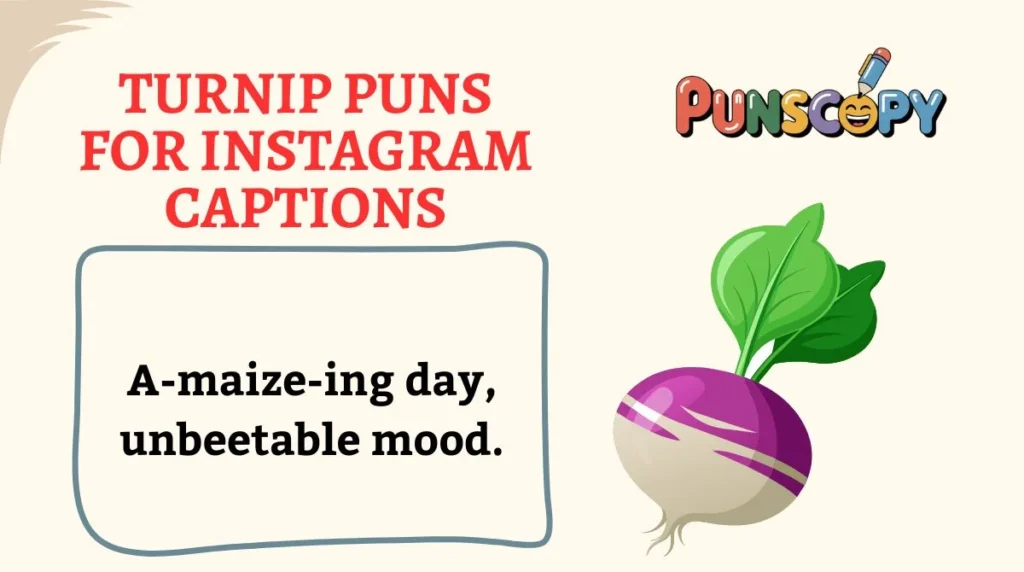 Turnip Puns for Instagram Captions