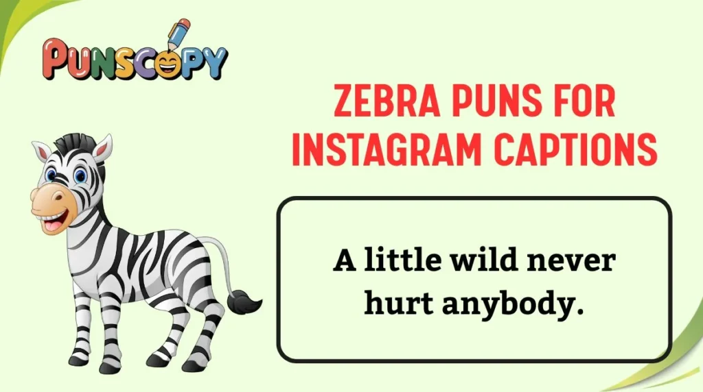 Zebra Puns for Instagram Captions