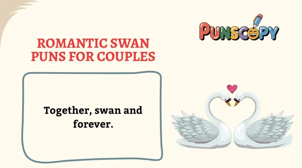 Romantic Swan Puns for Couples
