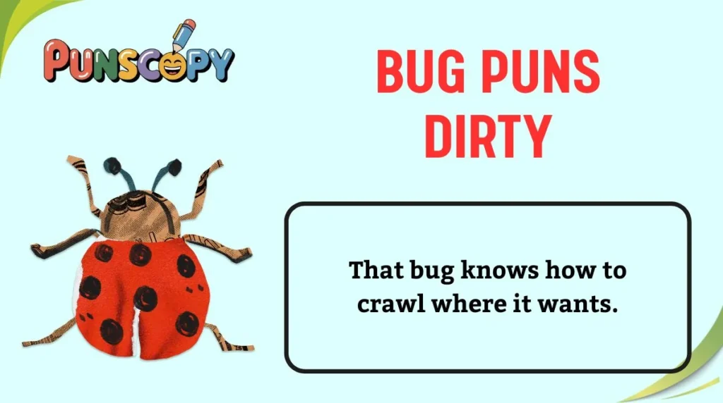 Bug Puns Dirty
