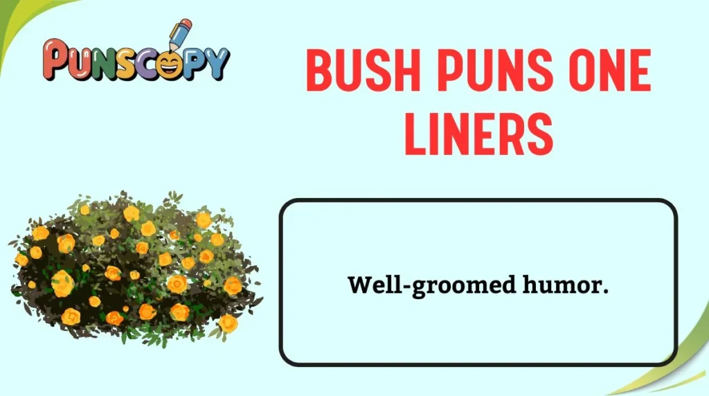 Bush Puns One Liners