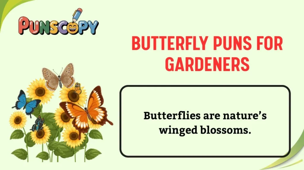 Butterfly Puns for Gardeners