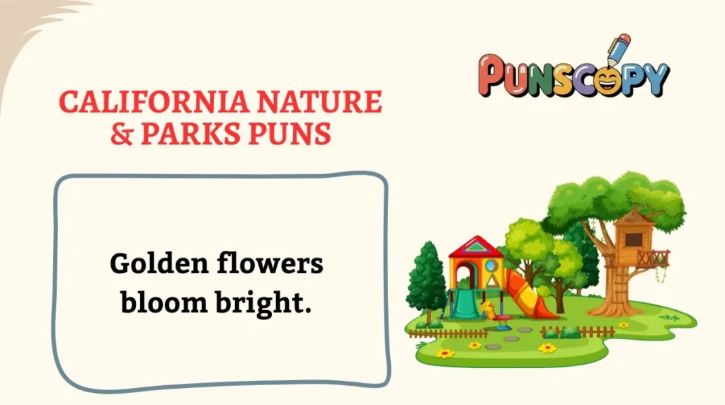 California Nature & Parks Puns