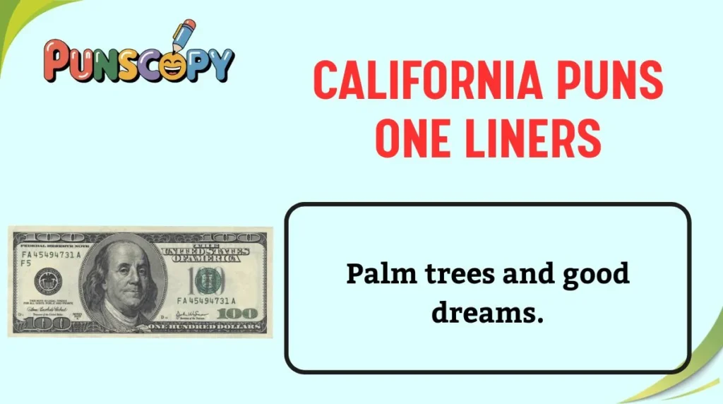 California Puns One Liners