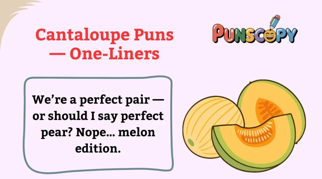Cantaloupe Puns — One-Liners