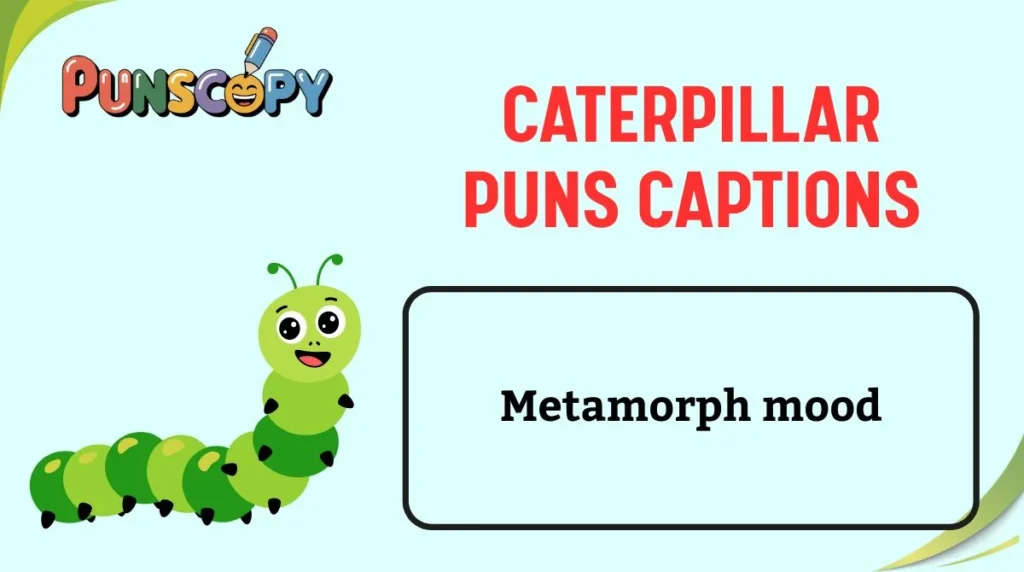 Caterpillar Puns Captions