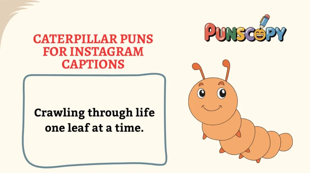 Caterpillar Puns for Instagram Captions