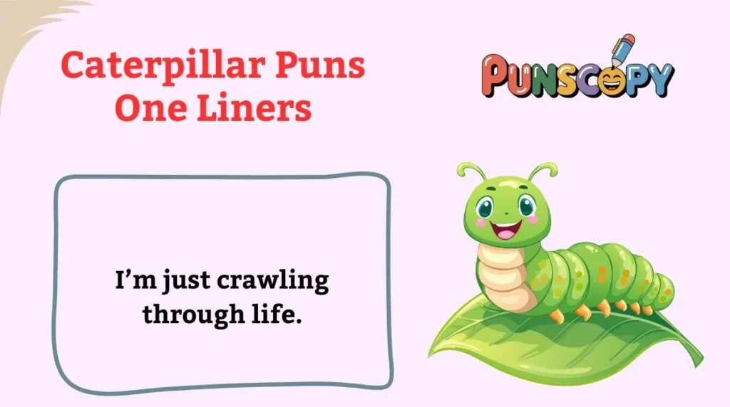 Caterpillar Puns One Liners