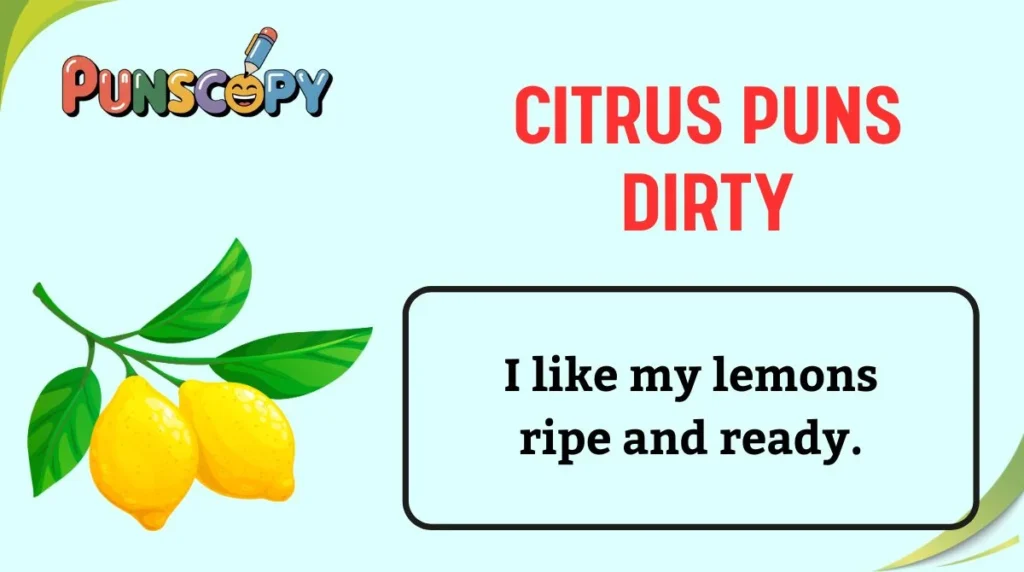 Citrus Puns Dirty