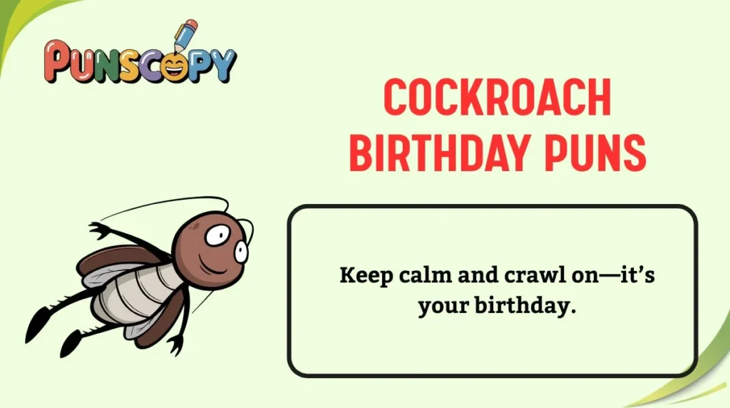 Cockroach Birthday Puns