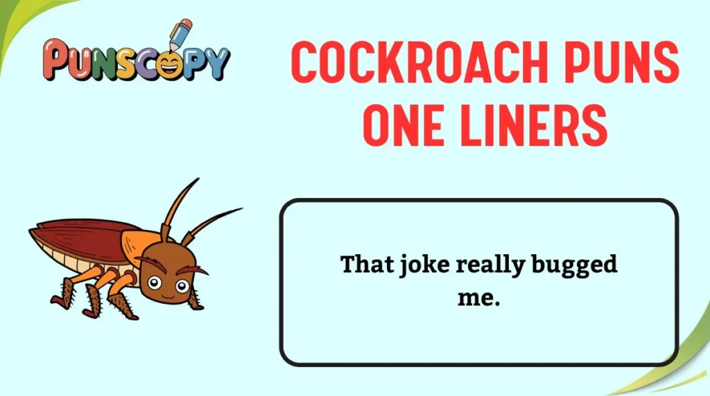 Cockroach Puns One Liners