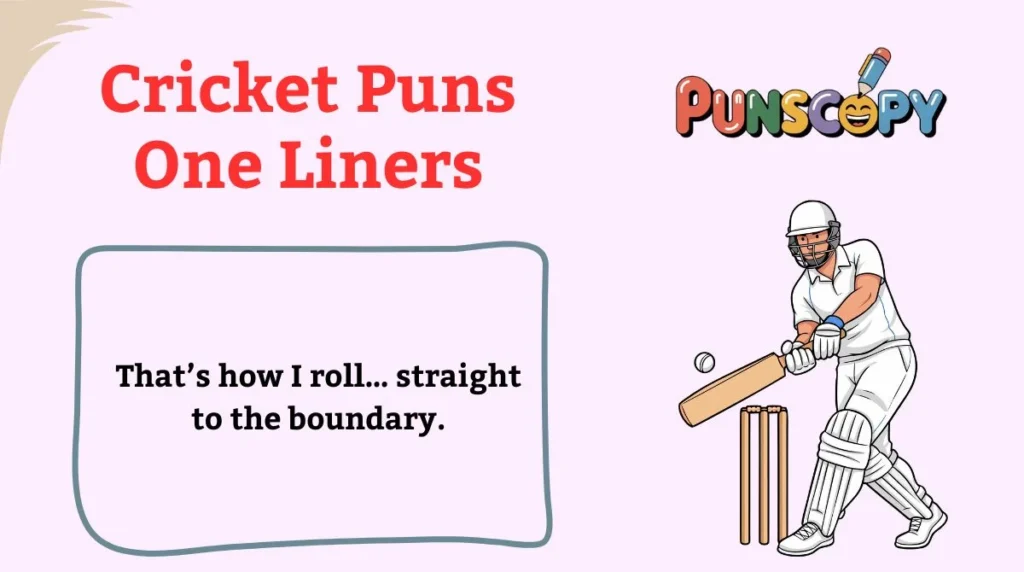 Cricket Puns One Liners