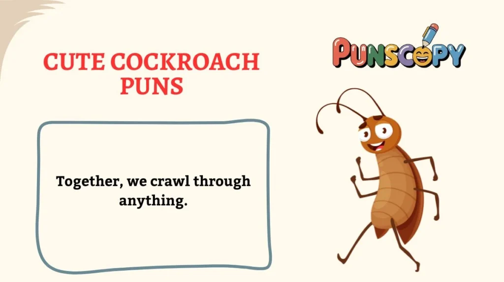 Cute Cockroach Puns