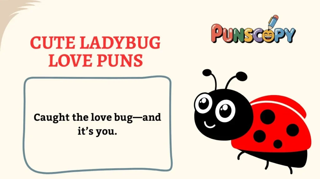 Cute Ladybug Love Puns