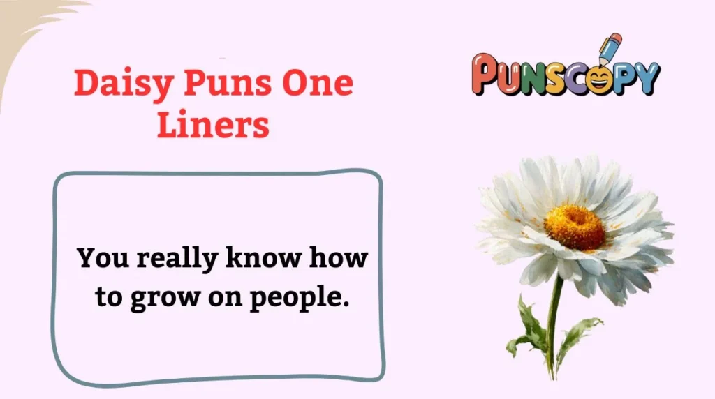 Daisy Puns One Liners