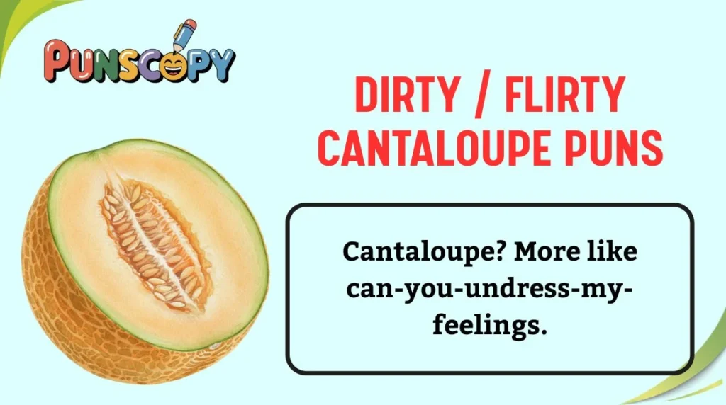 Dirty / Flirty Cantaloupe Puns