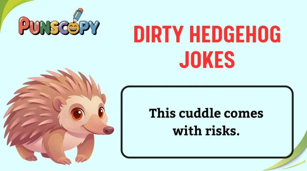 Dirty Hedgehog Jokes