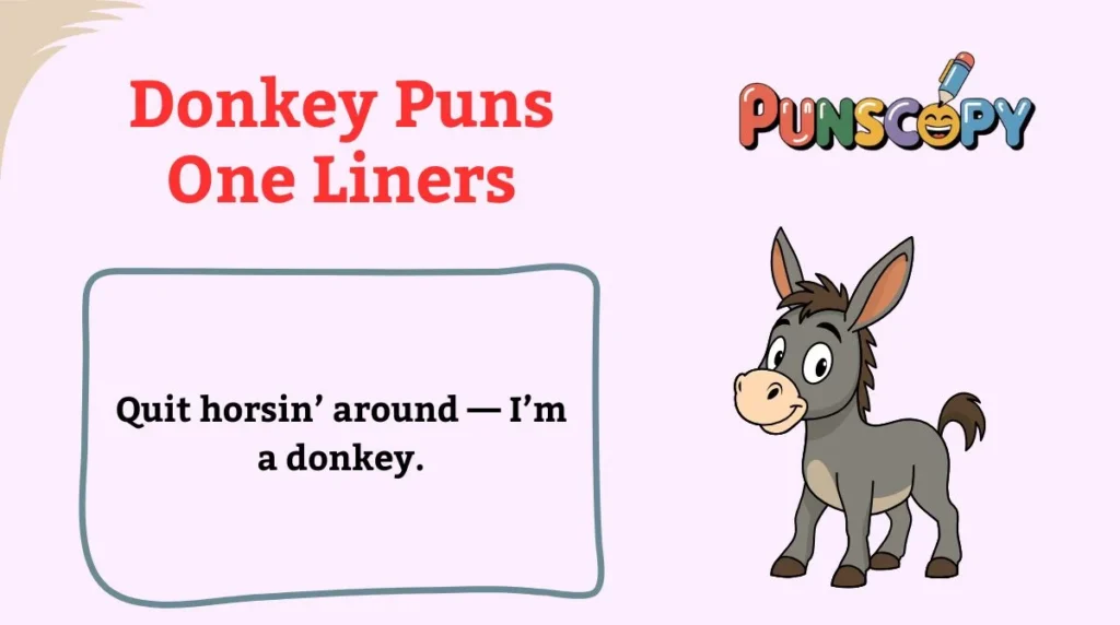 Donkey Puns One Liners