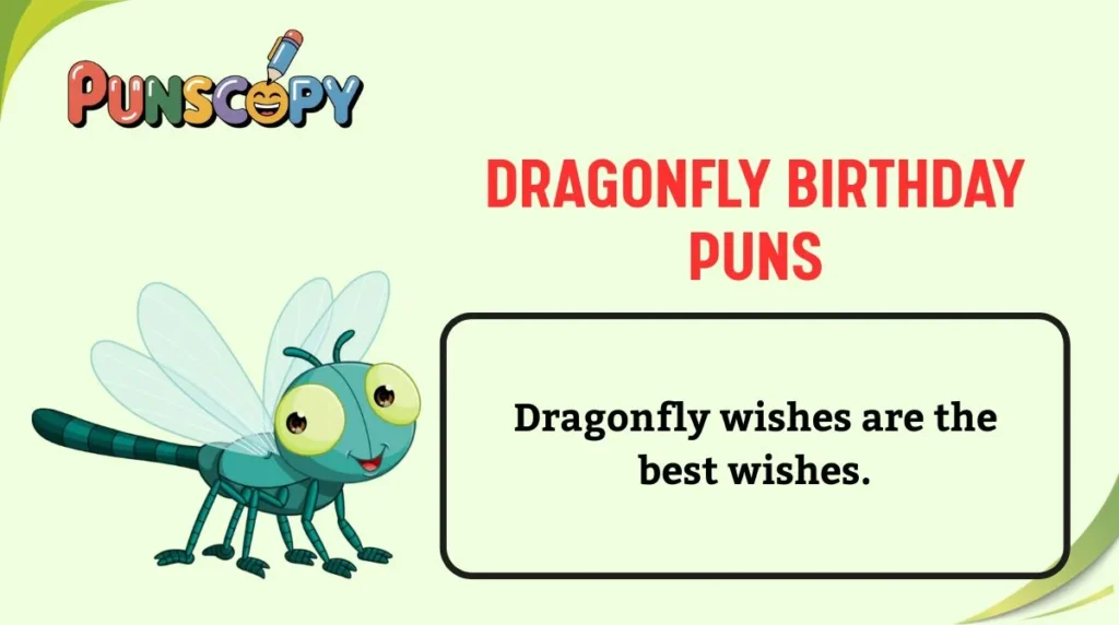 Dragonfly Birthday Puns