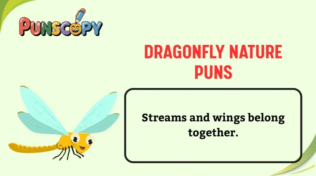 Dragonfly Nature Puns