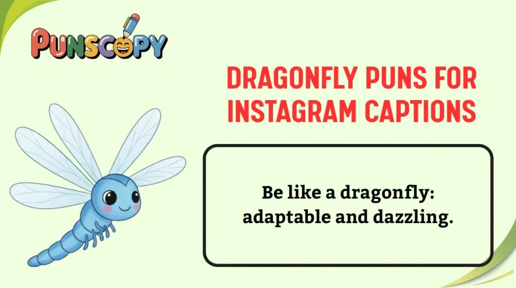 Dragonfly Puns for Instagram Captions