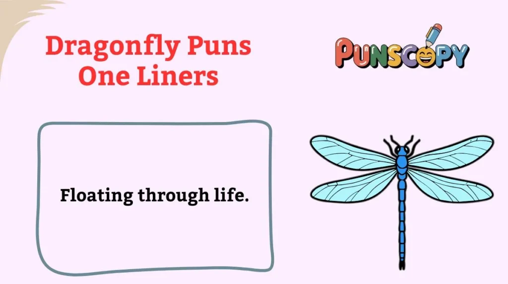 Dragonfly Puns One Liners